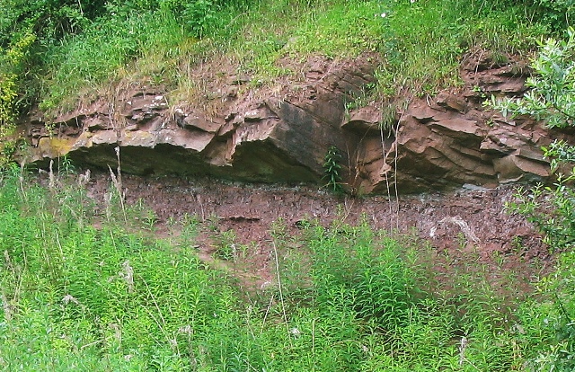 Sandstone overlying mudstone at Linton Tile works